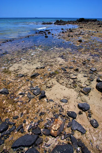 Coastline pond lagoon relax and bush iranja — Stock Photo, Image