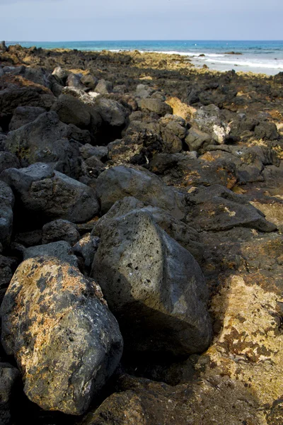 En lanzarote île mousse roche espagne paysage pierre — Photo