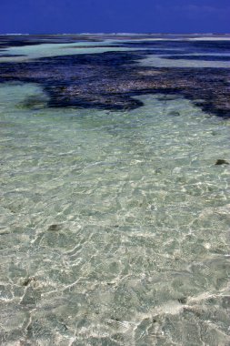 kıyı şeridi köpük köpük mavi lagün içinde
