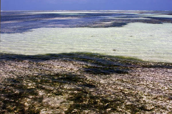 Schuim de blauwe lagune ontspannen van zanzibar Afrika — Stockfoto