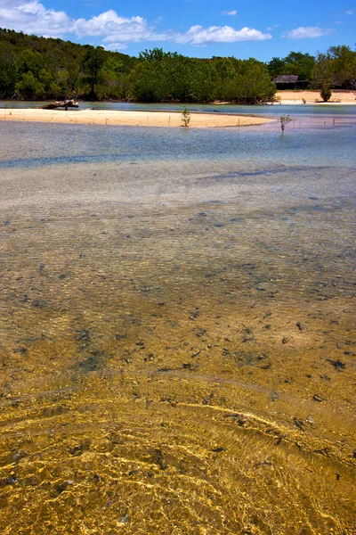 Estanque en la laguna azul relajarse madagascar iranja — Foto de Stock