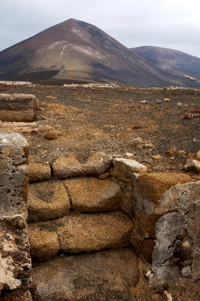 Vulkanische timanfaya rode roc hemel plantaardige bloem bush — Stockfoto