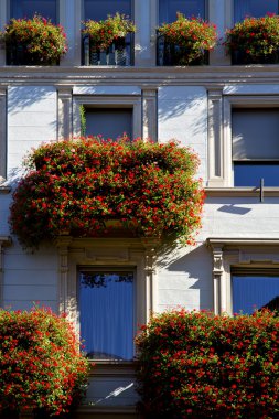 Lugano şehir merkezindeki eski duvar ve çiçek Teras