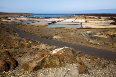 Lanzarote spmusk p tuz