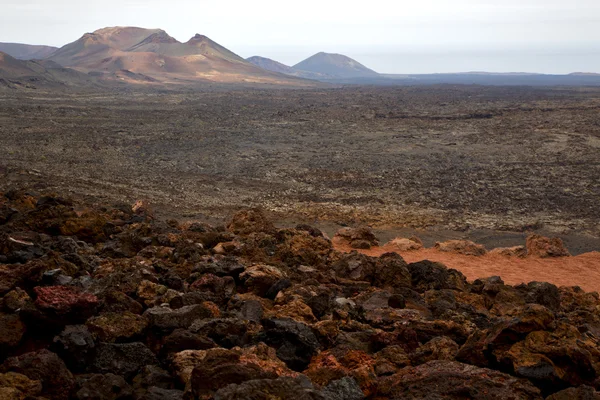 Arbusto timanfaya volcanes volcánicos —  Fotos de Stock