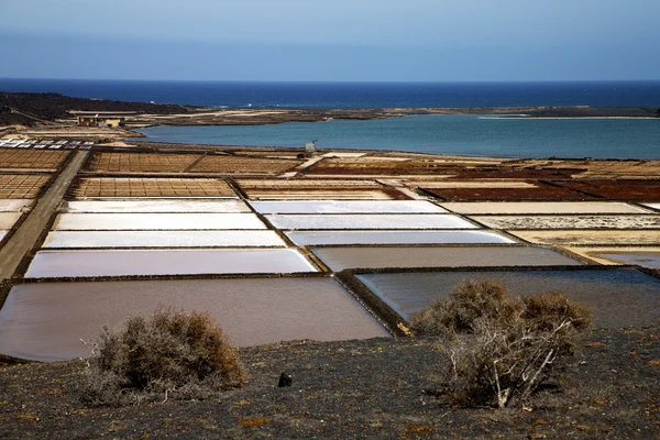 Kusten salt i lanzarote Spanien swater och sommar — Stockfoto