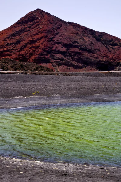 Pflanze Stein Meer Himmel Wasser Spanien Moschus Teich Felsenküste — Stockfoto