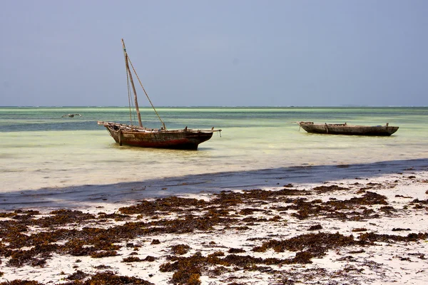 Relax africa coastline boat pirague lagoon — Stock Photo, Image