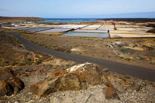 Salt i lanzarote spmusk p — Stockfoto