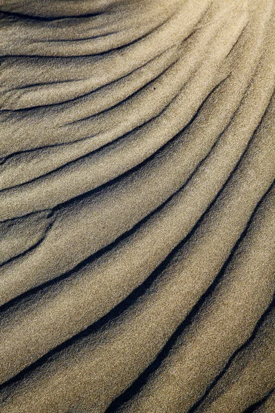 abstract texture of a dry sand and the beach lanzarote