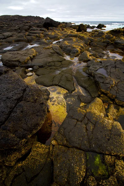 Lanzarote île mousse roche espagne paysage — Photo