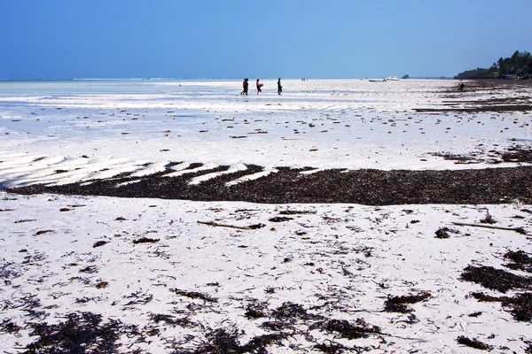 Folk på hyttekysten båt pirag blå lagune slapper av zanziba – stockfoto