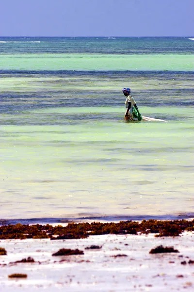 Mensen en blauwe lagune van zanzibar Afrika — Stockfoto