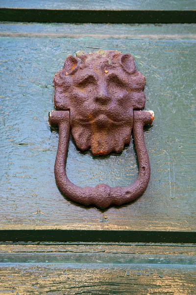 Abstract   brass brown knocker    closed wood door olgiate olona — Stock Photo, Image