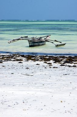  zanzibar lagün sakin Afrika kıyılarının tekne piragu