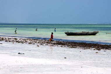 belgili tanımlık mavi lagoon tekne insanlar yosununa rahatla zanzibar afri