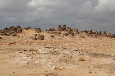 Suudi Arabistan 'ın antik krallığında eski bir tarih