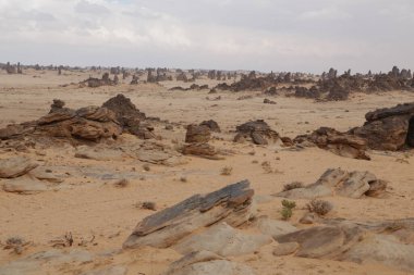 Suudi Arabistan 'ın antik krallığında eski bir tarih