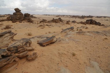 Suudi Arabistan 'ın antik krallığında eski bir tarih