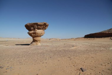 Suudi Arabistan 'ın antik krallığında eski bir tarih