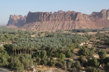 Çölün ortasında güzel bir vaha manzarası.