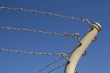 Suudi Arabistan 'ın antik krallığında dikenli teller.