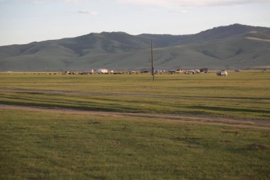 in the land of mongolia the nature and environment