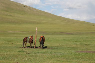 in the land of mongolia the nature and environment