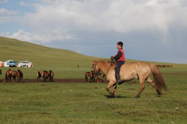 in the land of mongolia the nature and environment