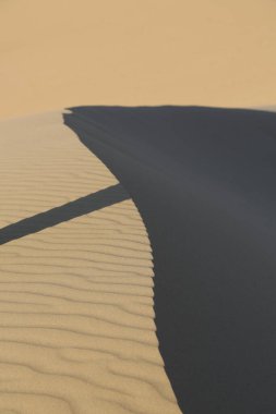 in the land of mongolia the nature and environment