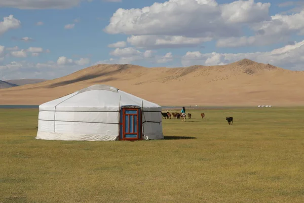 in the land of mongolia the nature and environment