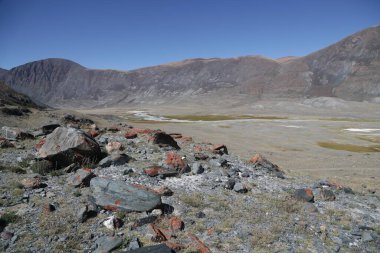 in the land of mongolia the nature and environment