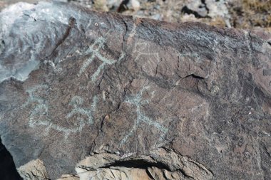 in the land of mongolia the nature and environment