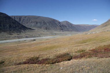 in the land of mongolia the nature and environment