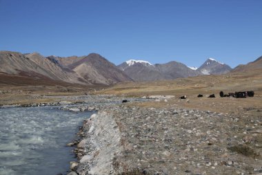 in the land of mongolia the nature and environment