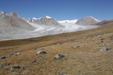 in the land of mongolia the nature and environment