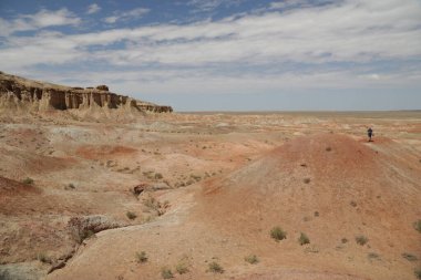 in the land of mongolia the nature and environment
