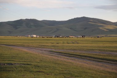 in the land of mongolia the nature and environment