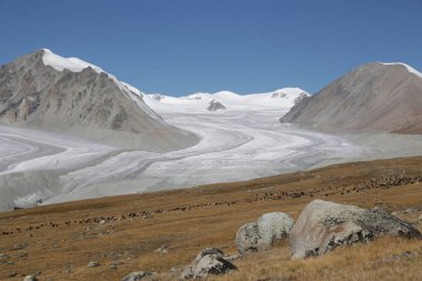 in the land of mongolia the nature and environment