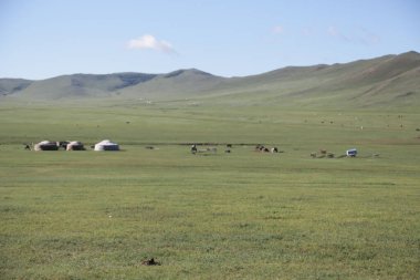 in the land of mongolia the nature and environment
