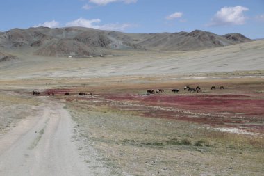 in the land of mongolia the nature and environment