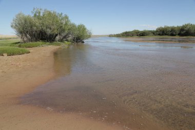 in the land of mongolia the nature and environment