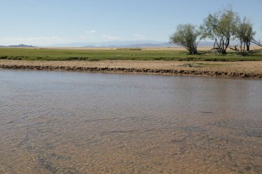 in the land of mongolia the nature and environment