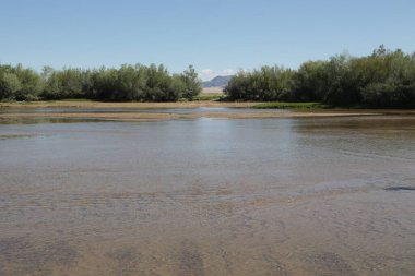 in the land of mongolia the nature and environment