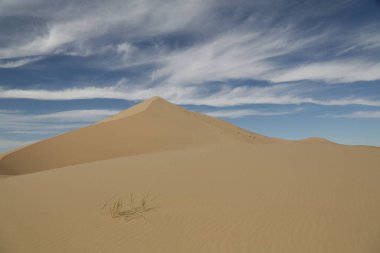 in the land of mongolia the nature and environment