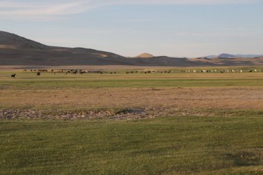 in the land of mongolia the nature and environment