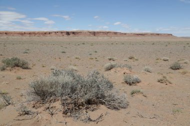 in the land of mongolia the nature and environment