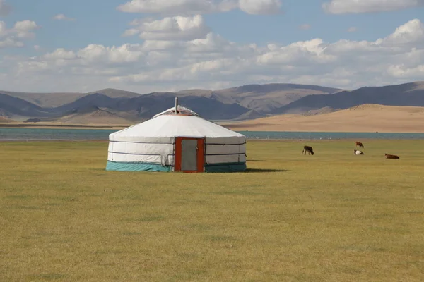 in the land of mongolia the nature and environment