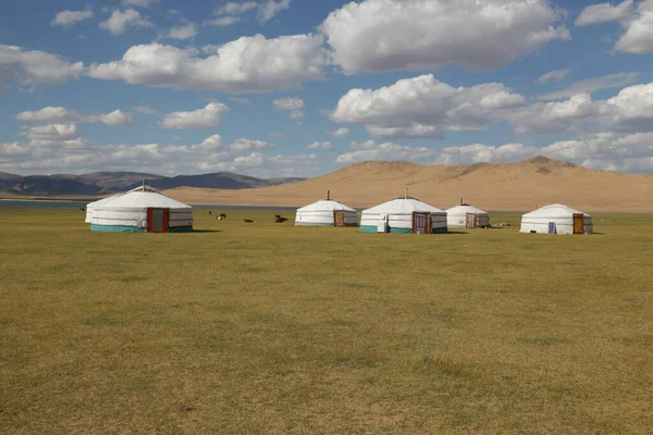 in the land of mongolia the nature and environment