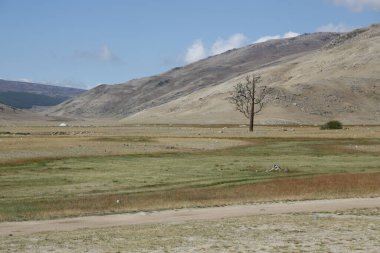 in the land of mongolia the nature and environment